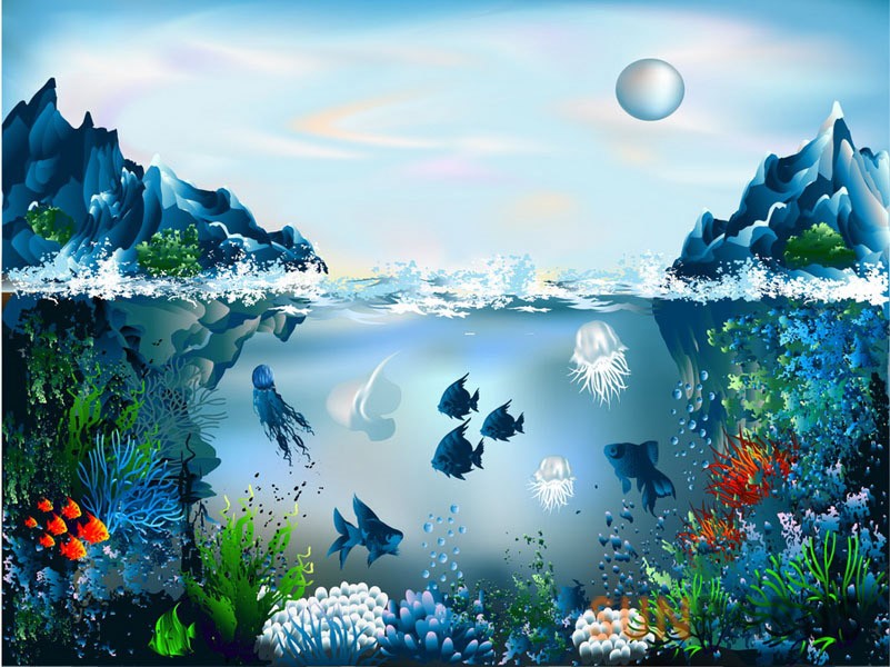 diving043
