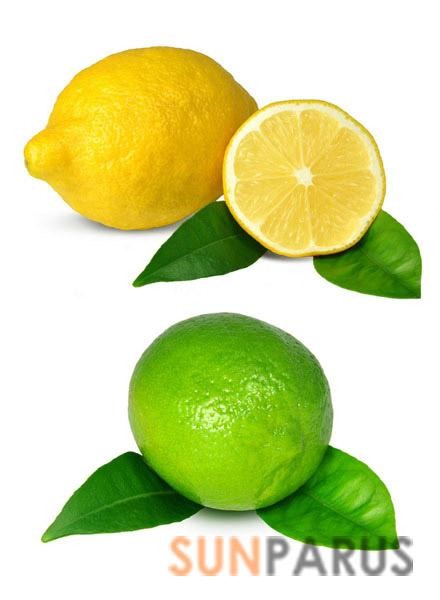 citrus007