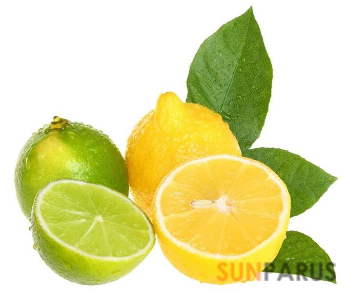 citrus008