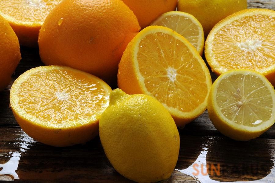 citrus015